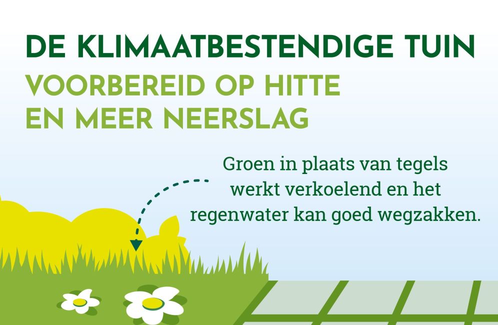 Zo maakt u uw tuin klimaatbestendig