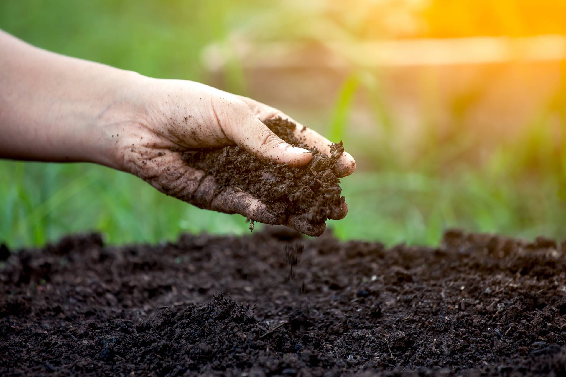 Gratis tuinafval VGR Almkerk stopt