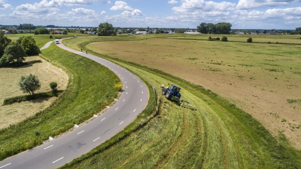 Nat voorjaar doorkruist maaiwerk op dijken: waterschap maait bij uitzondering in één ronde