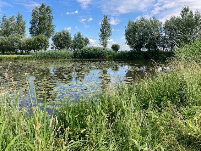 Natuurvriendelijk oevers maaien