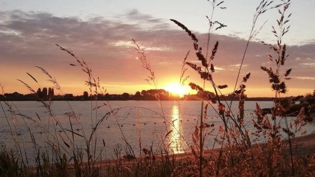 Geboortegeluk, sterrenhemel en koeien in de wei: dit zijn de mooiste foto’s uit de Biesboschlinie in juni