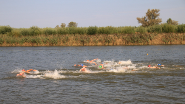 Zeven medailles voor Biesboschzwemmers tijdens Biesbosch Open Water Race 2024