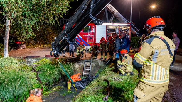 Paard in de problemen: brandweer haalt dier uit sloot in Genderen