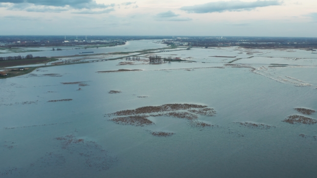 ‘De Biesbosch: Natuur in Beweging’ brengt een uniek natuurgebied naar het witte doek